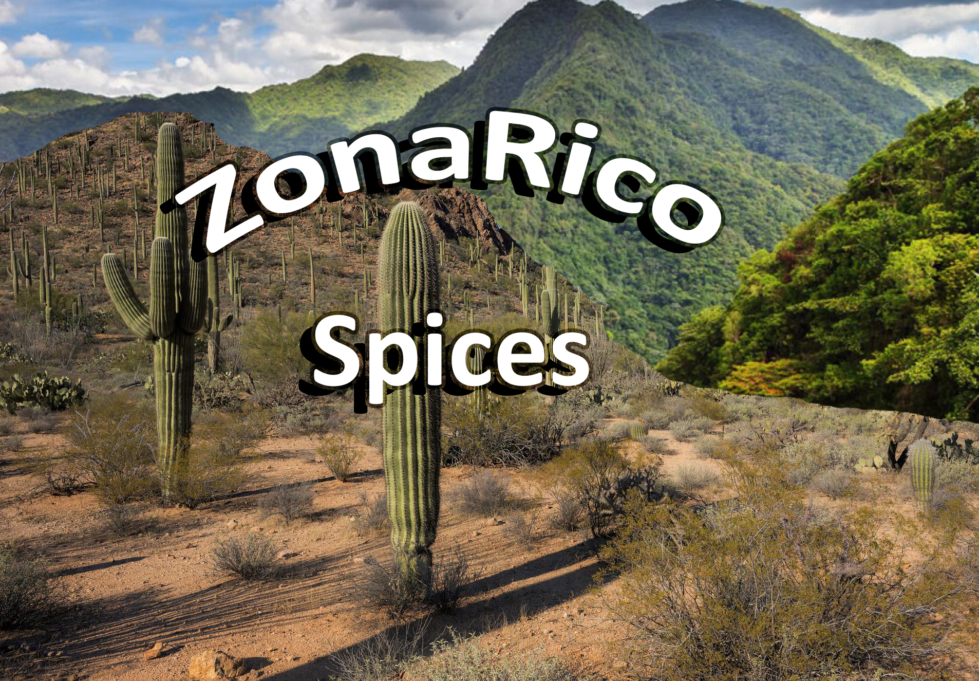 ZonaRico Gourmet Spice Blends